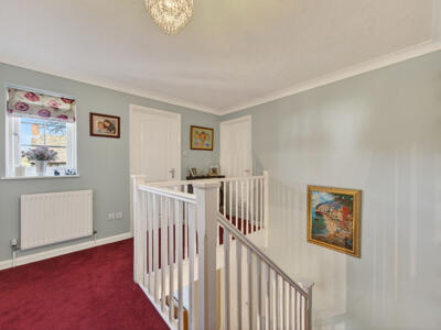Picture 15